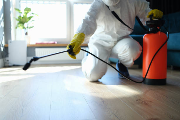 Reliable Blood Cleanup contractor in Desert Hot Springs, CA by Trauma Clean Pros